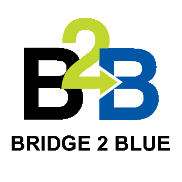 Bridge2Blue